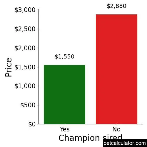 Price of Affenpinscher by Champion sired 