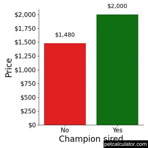 Price of American Hairless Terrier by Champion sired 