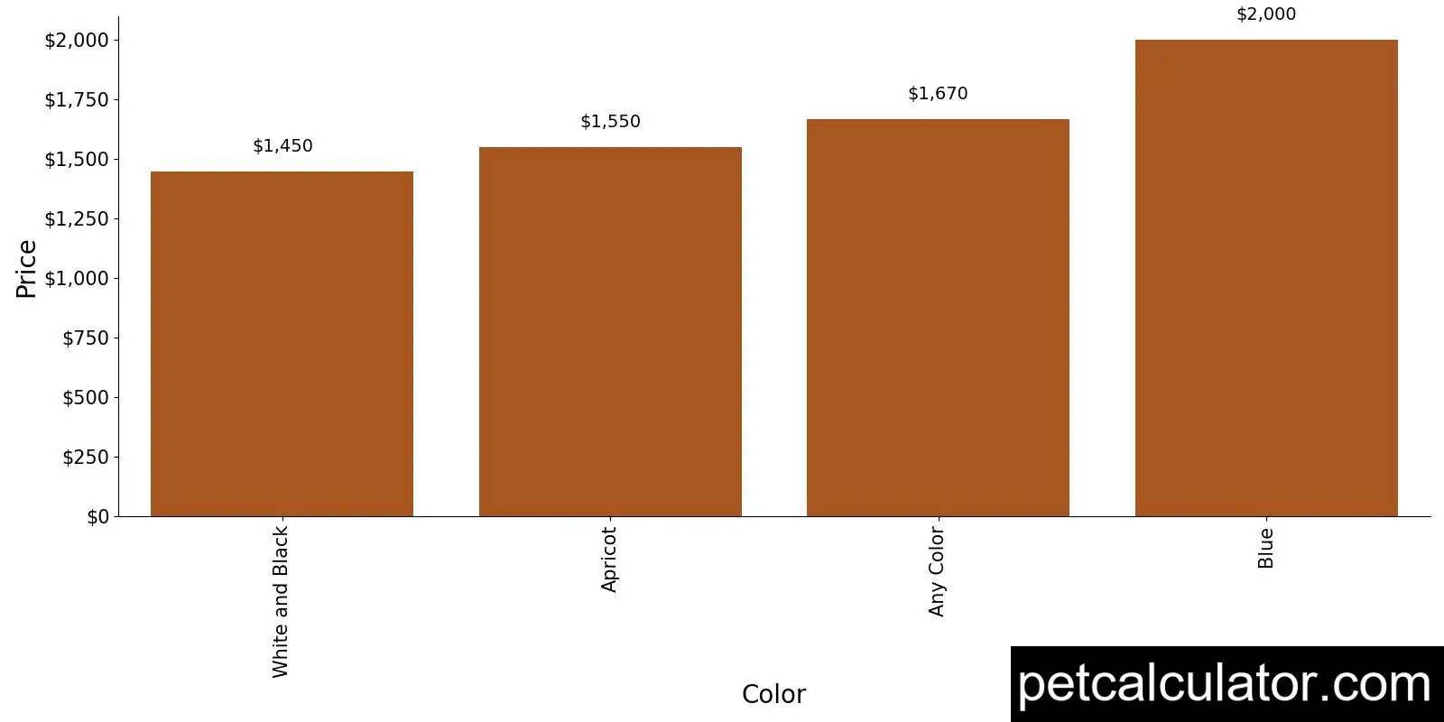 Price of American Hairless Terrier by Color 
