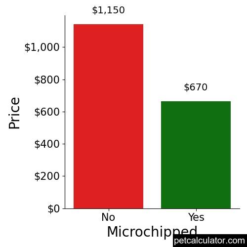 Price of American Pit Bull Terrier by Microchipped 