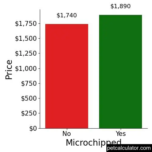 Price of Aussiedoodle by Microchipped 