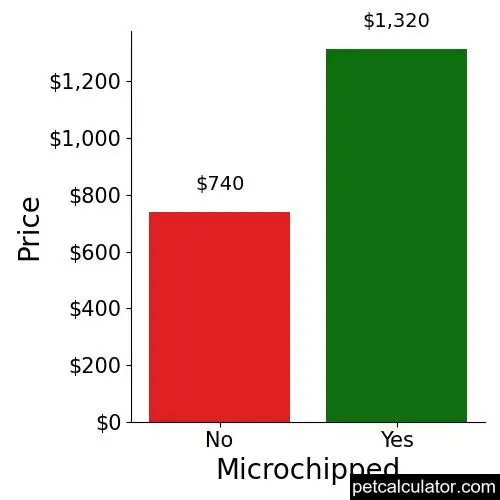 Price of Australian Cattle Dog by Microchipped 
