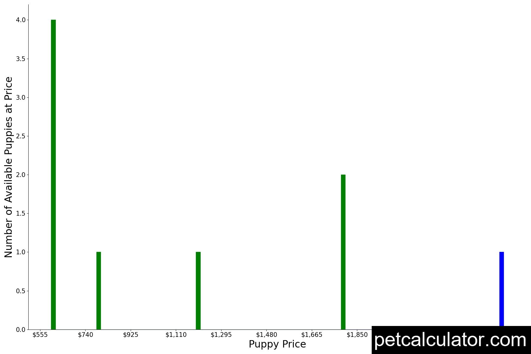 Price of Australian Koolie by All 