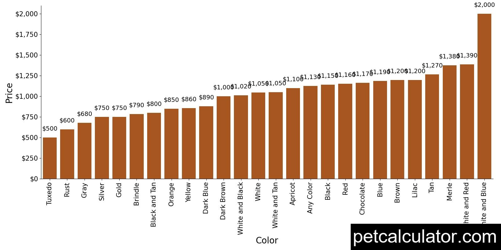 Price of Australian Shepherd by Color 