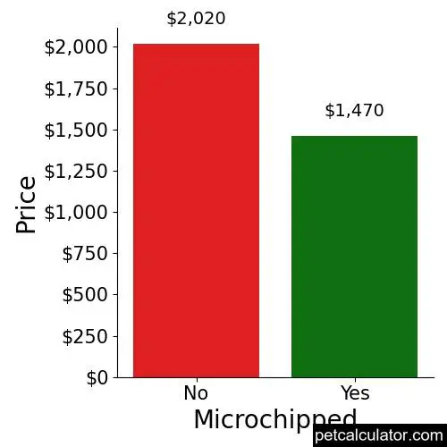 Price of Basenji by Microchipped 