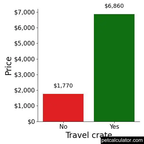 Price of Basenji by Travel crate 