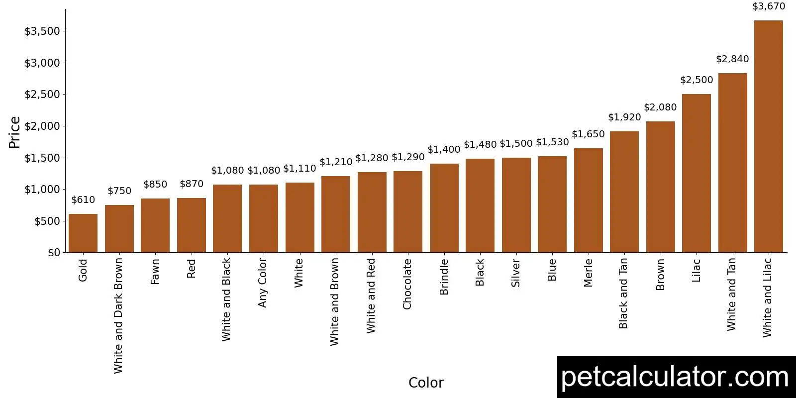 Price of Beagle by Color 