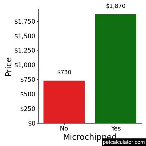 Price of Bearded Collie by Microchipped 