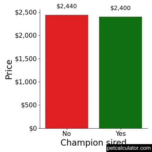 Price of Bedlington Terrier by Champion sired 