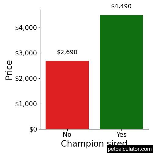 Price of Bernedoodle by Champion sired 
