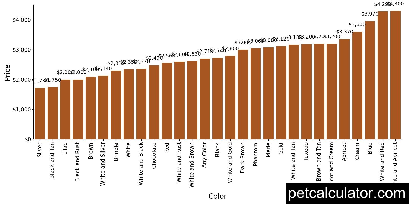 Price of Bernedoodle by Color 