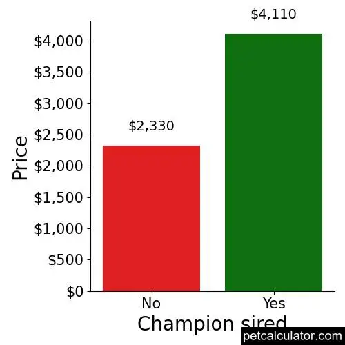 Price of Bernese Mountain Dog by Champion sired 