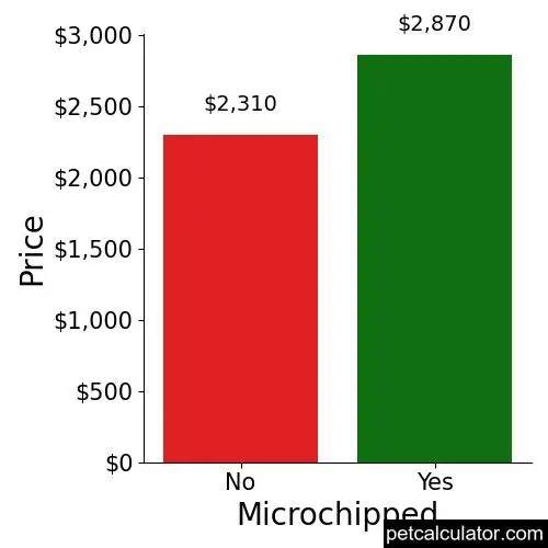 Price of Bernese Mountain Dog by Microchipped 