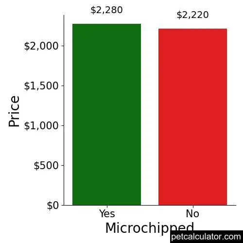Price of Bich Poo by Microchipped 