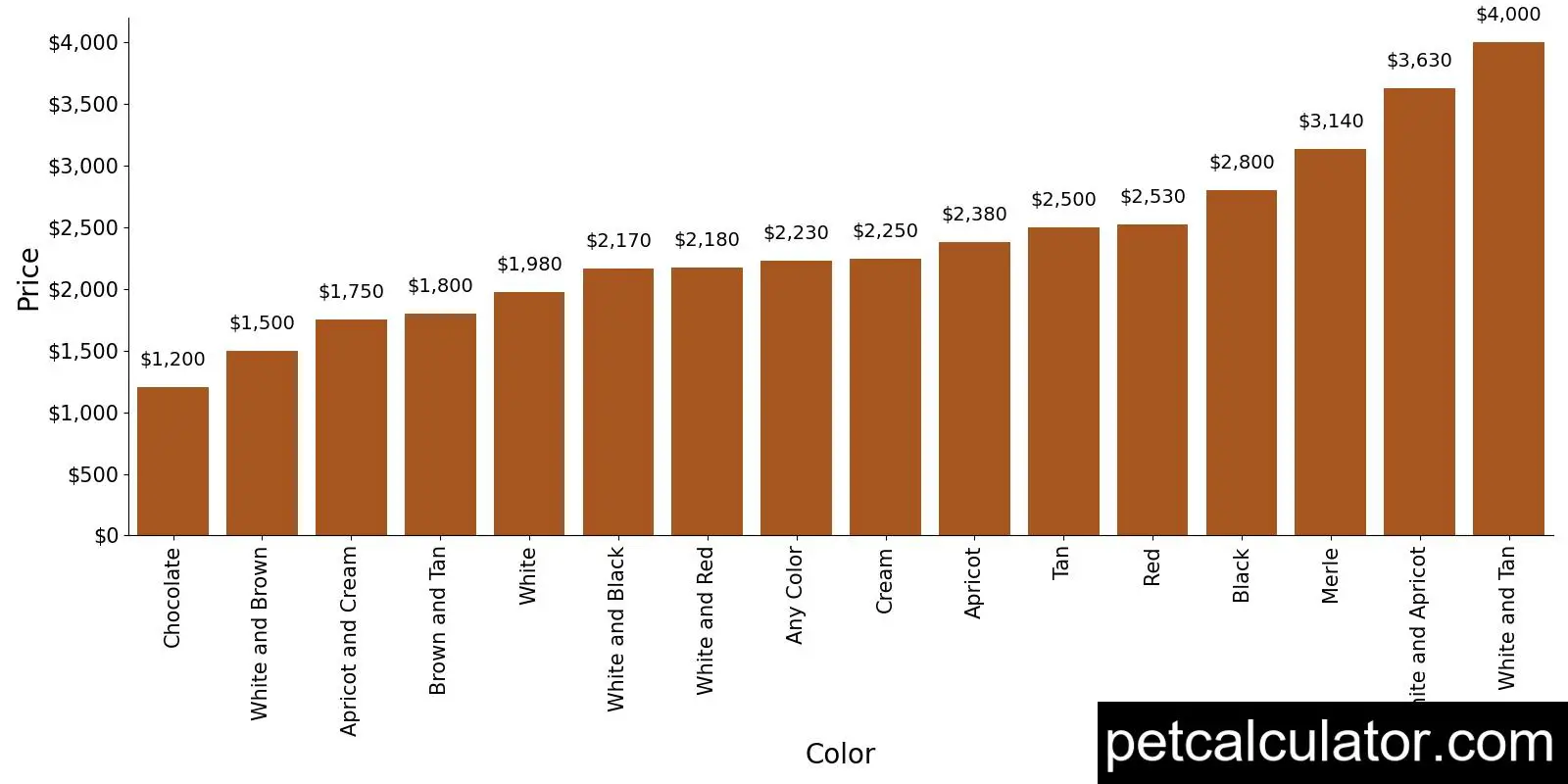 Price of Bich Poo by Color 