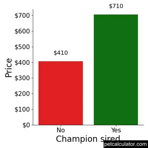 Price of Black and Tan Coonhound by Champion sired 