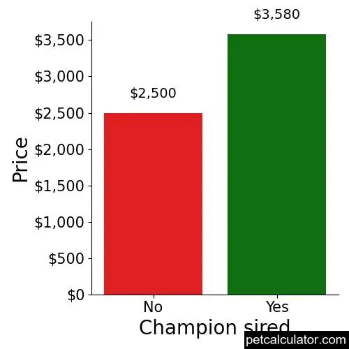 Price of Black Russian Terrier by Champion sired 