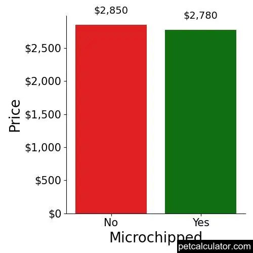 Price of Black Russian Terrier by Microchipped 