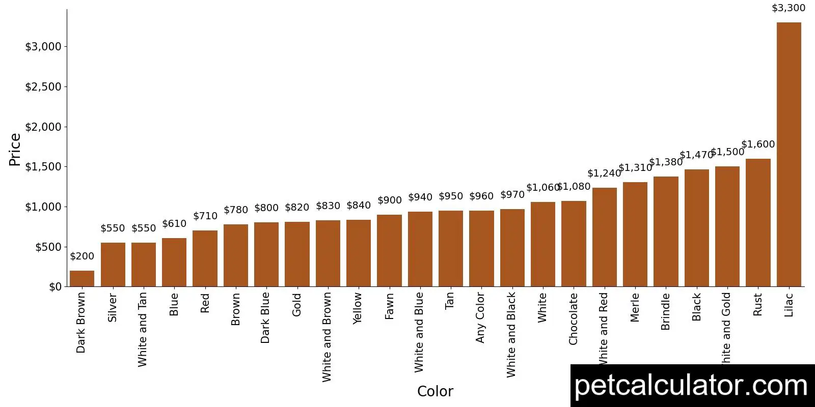 Price of Border Collie by Color 