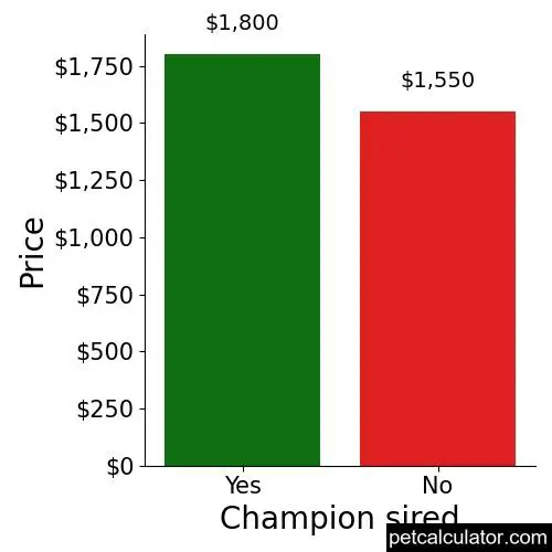 Price of Bordoodle by Champion sired 