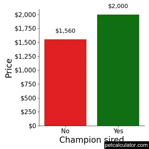 Price of Boston Terrier by Champion sired 