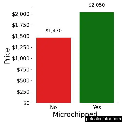 Price of Boston Terrier by Microchipped 