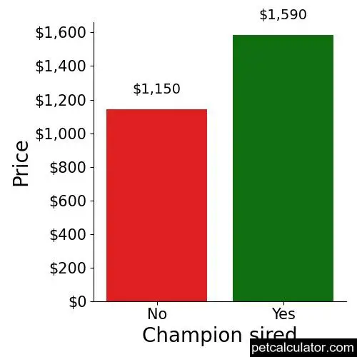 Price of Boykin Spaniel by Champion sired 