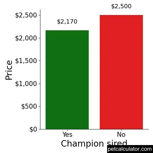 Price of Bracco Italiano by Champion sired 
