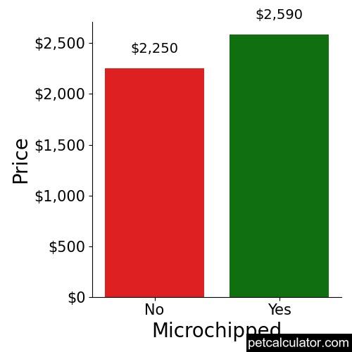 Price of Briard by Microchipped 
