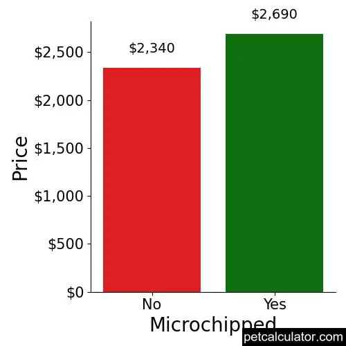 Price of Brussels Griffon by Microchipped 