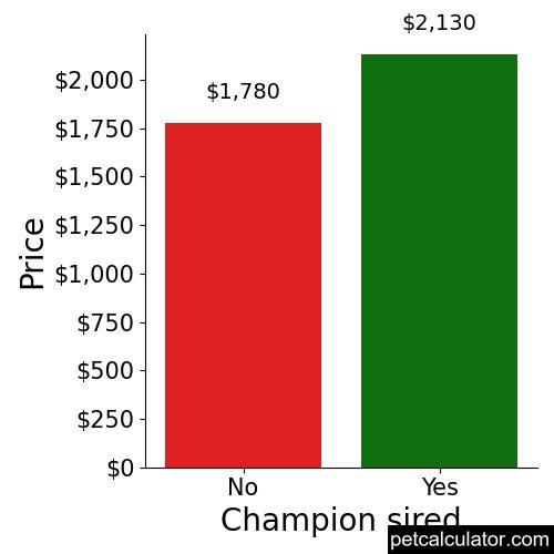 Price of Bull Terrier by Champion sired 