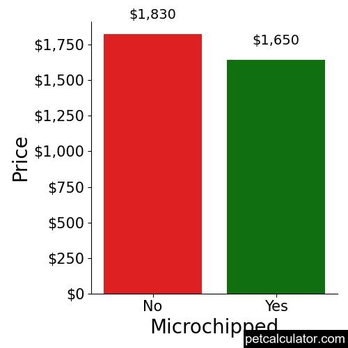 Price of Bull Terrier by Microchipped 