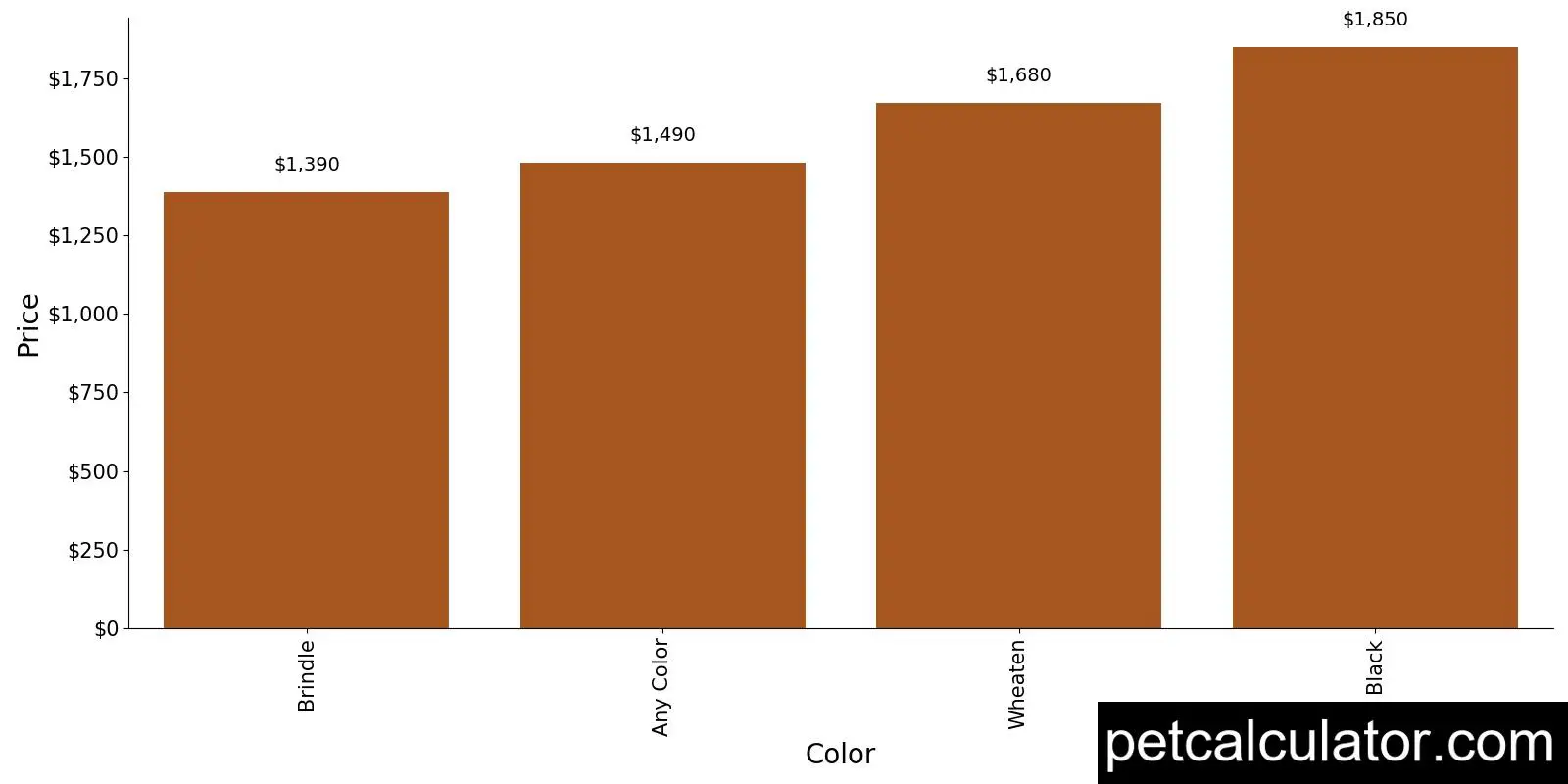 Price of Cairn Terrier by Color 