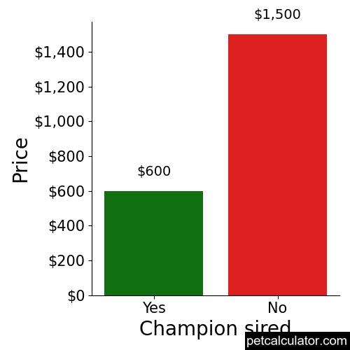 Price of Canaan Dog by Champion sired 