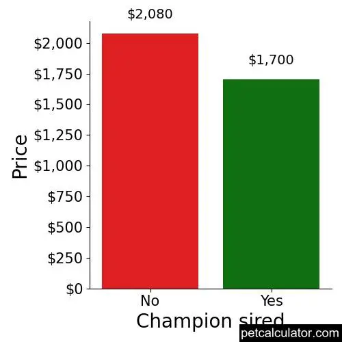 Price of Cavachon by Champion sired 