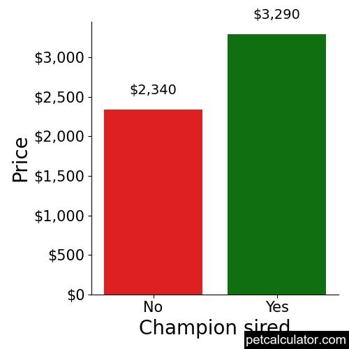 Price of Cavalier King Charles Spaniel by Champion sired 