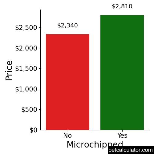 Price of Cavalier King Charles Spaniel by Microchipped 