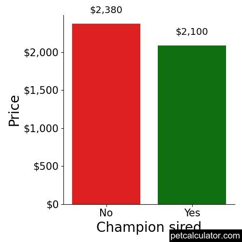 Price of Cavapoo by Champion sired 