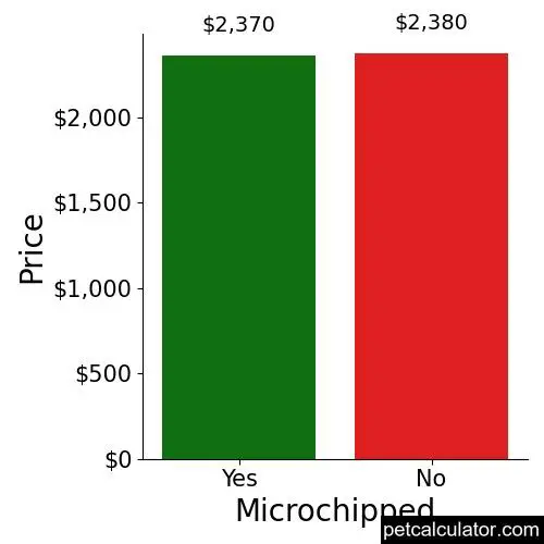Price of Cavapoo by Microchipped 
