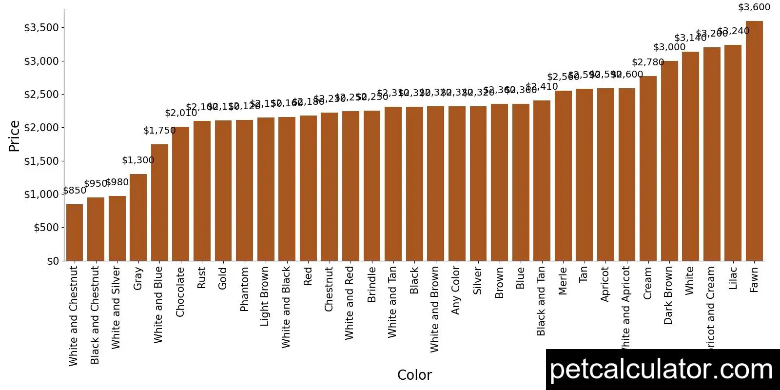 Price of Cavapoo by Color 