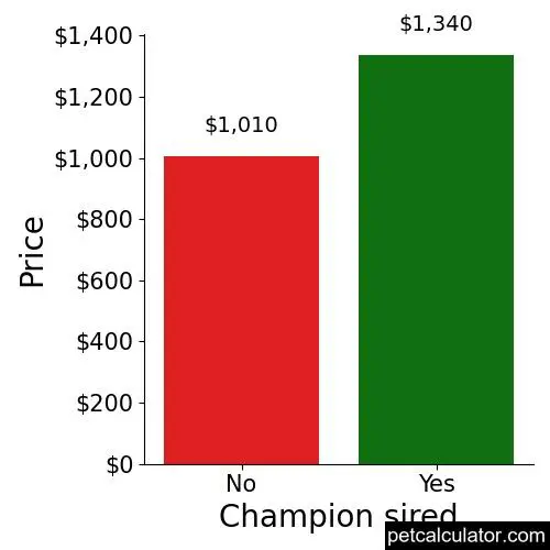 Price of Chesapeake Bay Retriever by Champion sired 