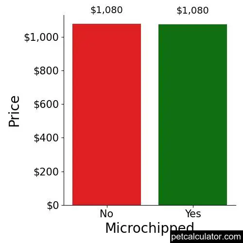 Price of Chesapeake Bay Retriever by Microchipped 