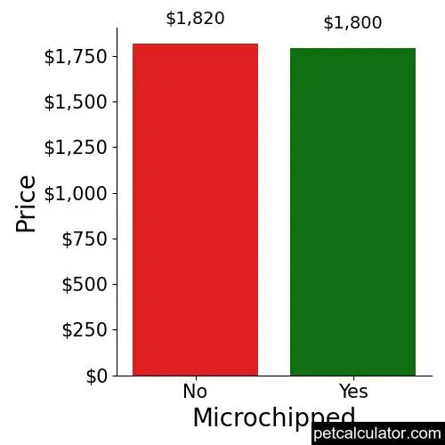 Price of Chihuahua by Microchipped 