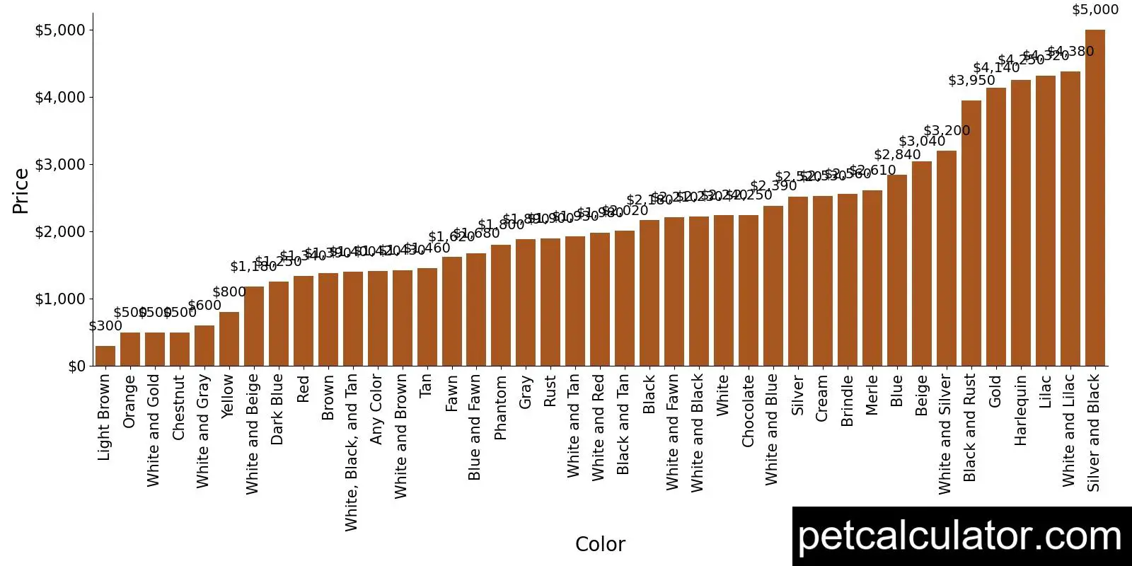 Price of Chihuahua by Color 