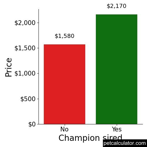 Price of Chinese Shar-Pei by Champion sired 