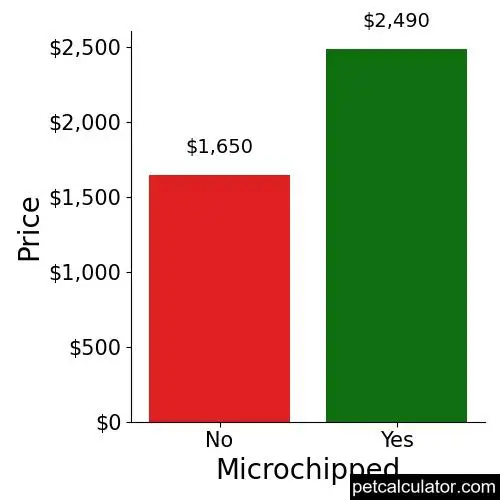 Price of Cocker Spaniel by Microchipped 
