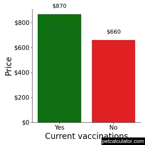Price of American Bandogge Mastiff by Current vaccinations 