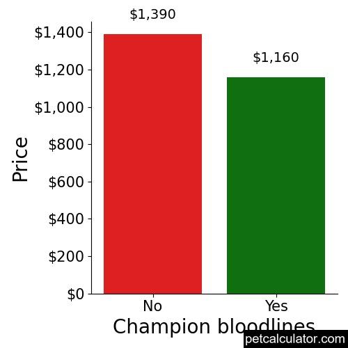 Price of Airedale Terrier by Champion bloodlines 