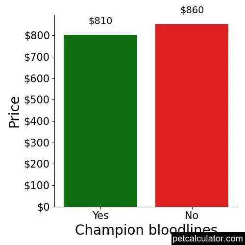 Price of American Bandogge Mastiff by Champion bloodlines 