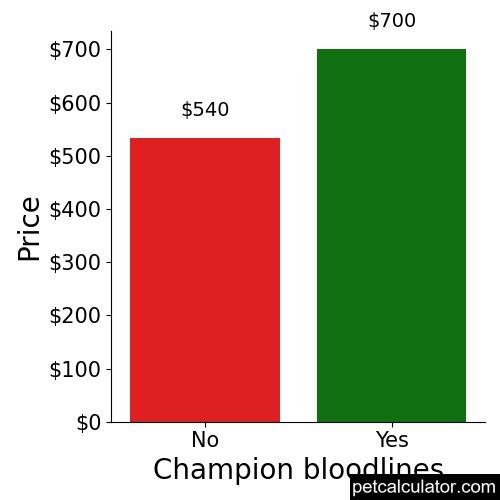 Price of American English Coonhound by Champion bloodlines 